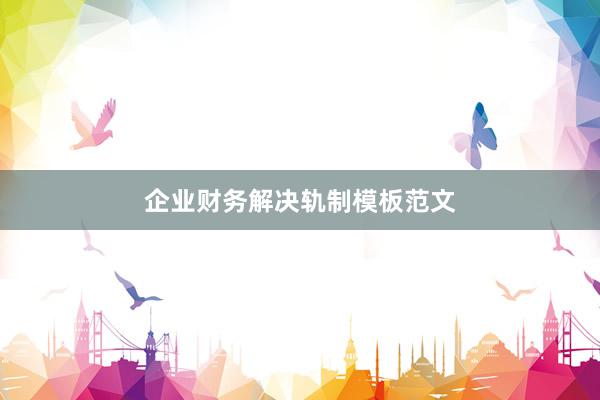 企业财务解决轨制模板范文