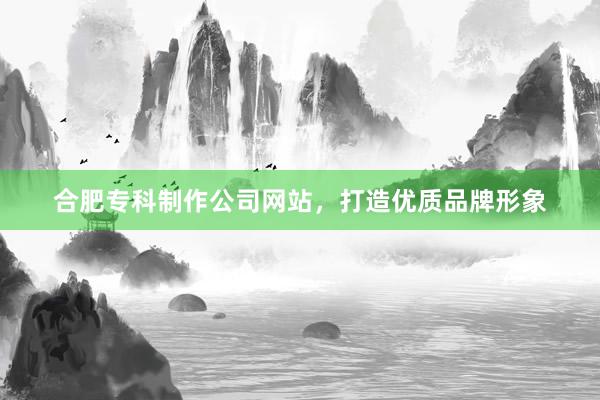 合肥专科制作公司网站，打造优质品牌形象