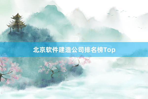 北京软件建造公司排名榜Top